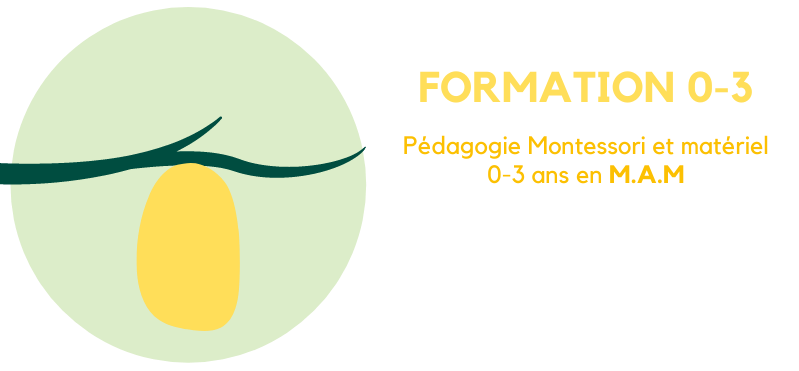 Pédagogie Montessori et matériel 0-3 ans en M.A.M